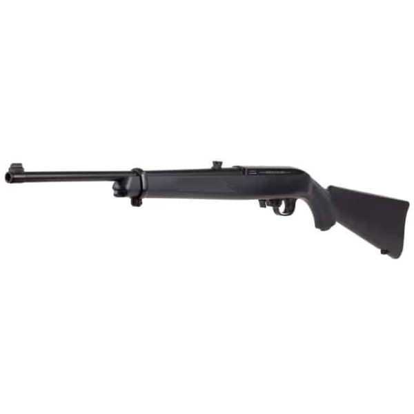 10/22 Air Rifle - .177 Cal., Black