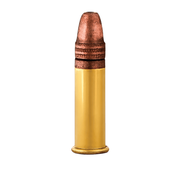 22 LR HOLLOW POINT