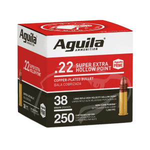 22 LR HOLLOW POINT