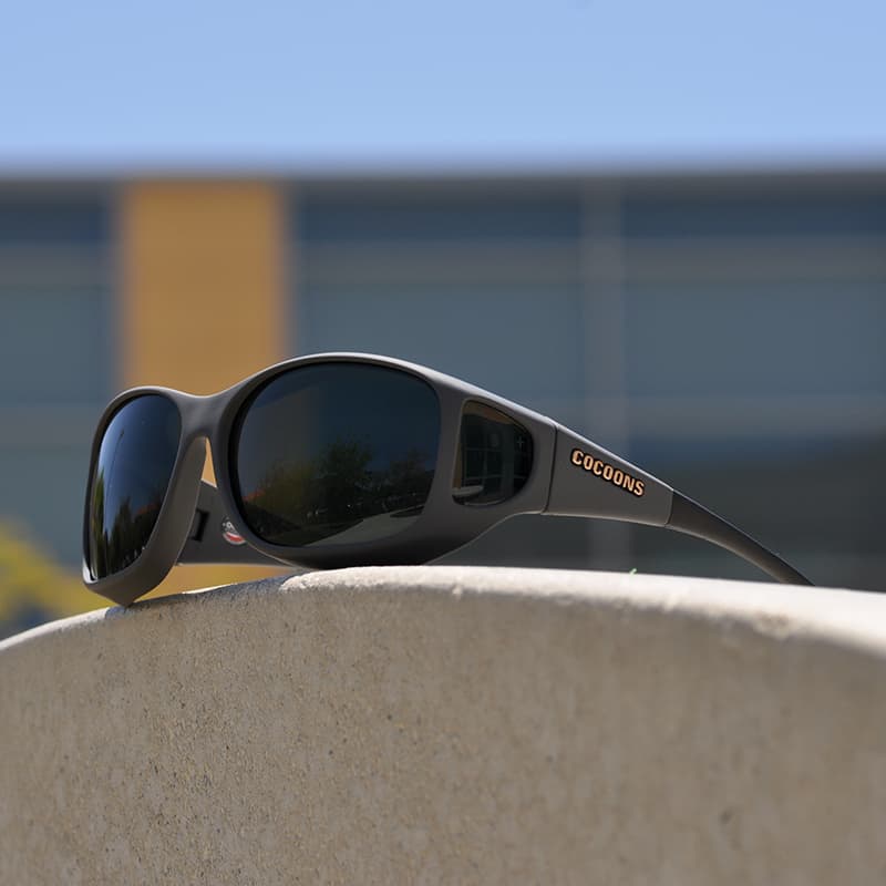 Style Line (MX) Slate Polarized Gray