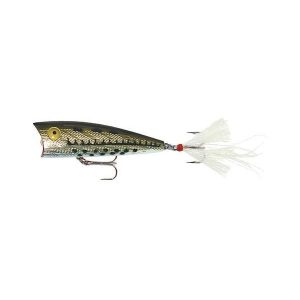 Rebel Pop-R Fishing Lure - Ol' Bass