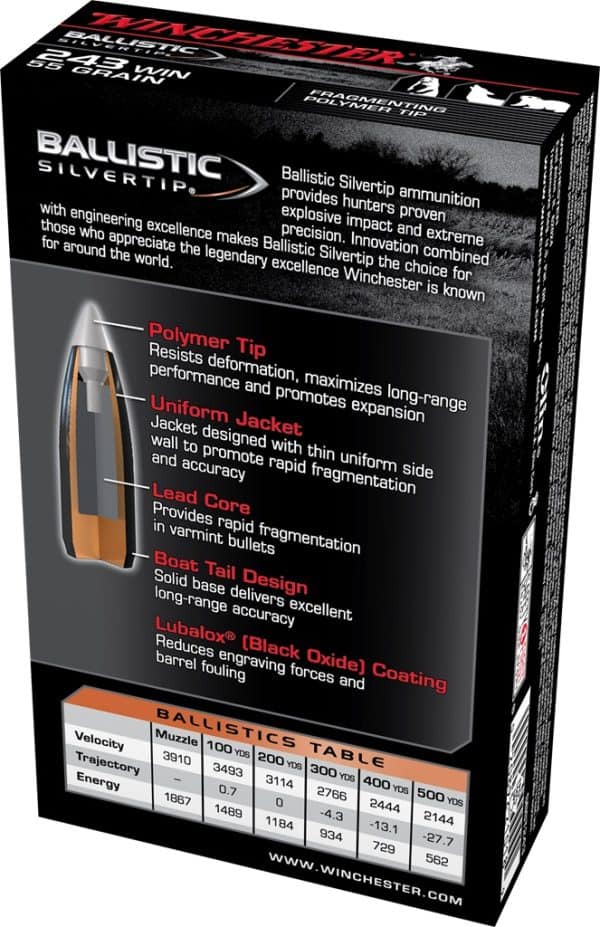 Ballistic Silvertip 243 Winchester
