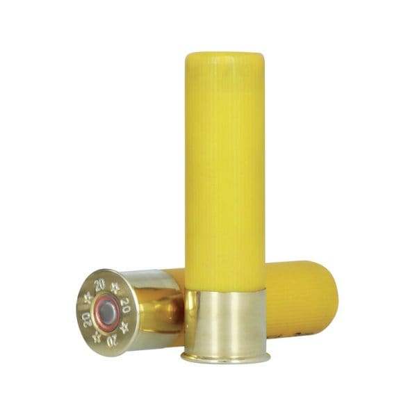HEVI-Steel 20 Gauge 1 Shot Size