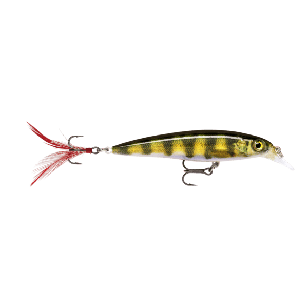 Rapala X-Rap Live Perch