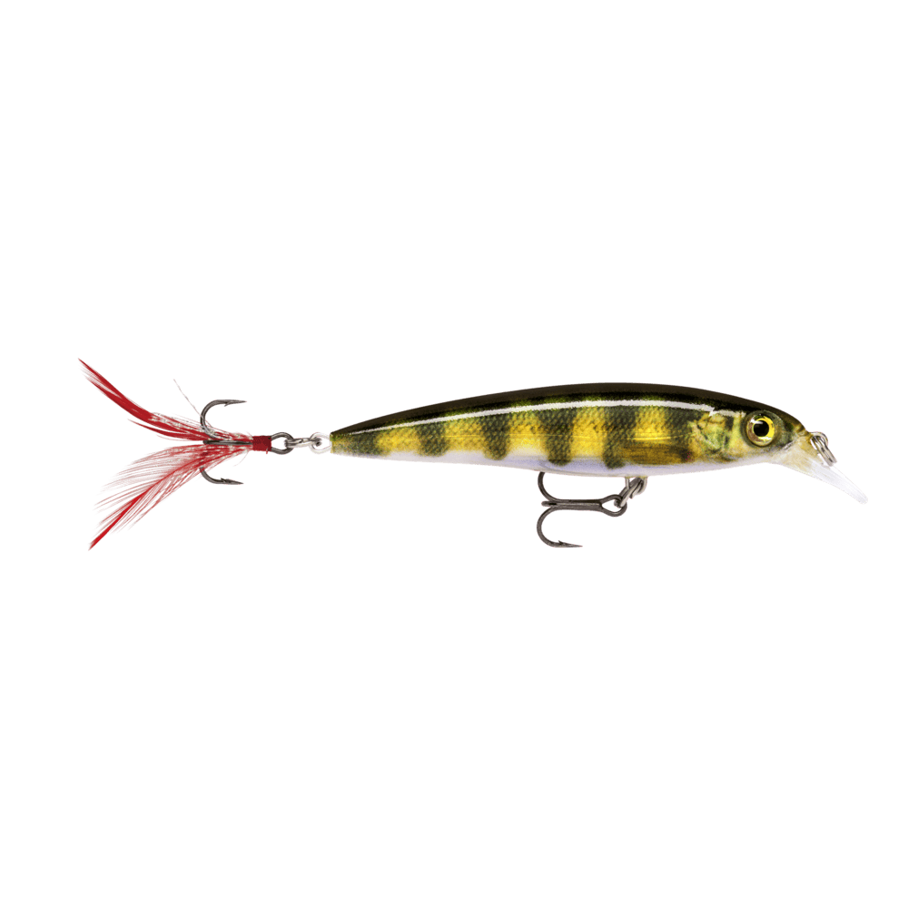 Rapala X-Rap Live Perch