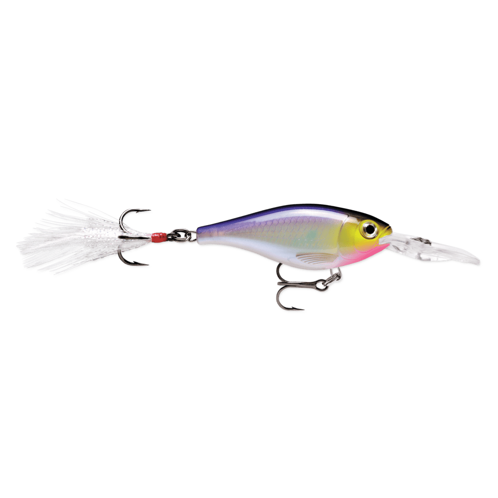 Rapala X-Rap Shad Purpledescent